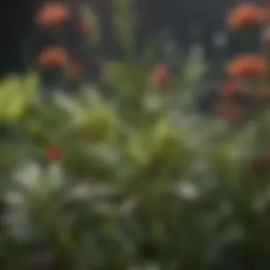 Companion Planting: A Natural Defense Against Aphids Companion planting in a vibrant garden