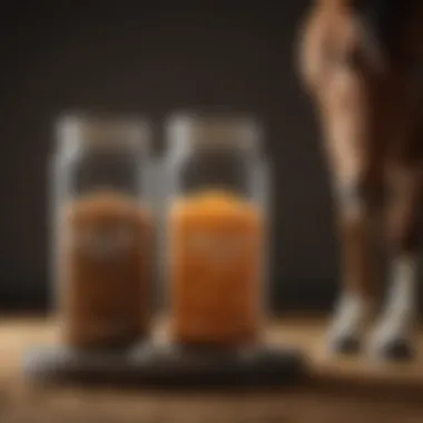 A variety of weight gain supplements for horses