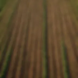 Aerial view of diverse agricultural fields showcasing various crops