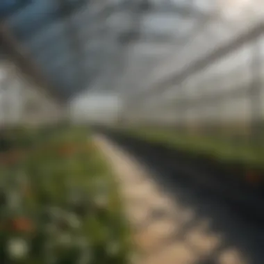 A well-maintained greenhouse using automatic vent kits