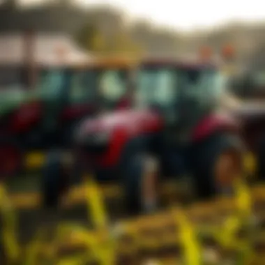 Different sizes of tractors displayed in a serene agricultural setting