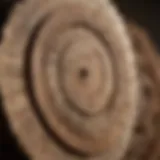 Close-up of a cordwood saw blade showcasing the teeth design