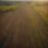 Aerial view of vast agricultural land