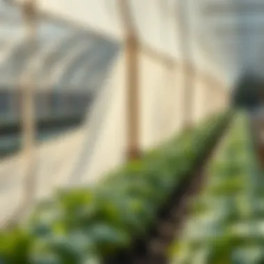 Comprehensive Guide to Plant Frost Protection Fabric Summary Comprehensive Guide to Plant Frost Protection Fabric Summary