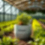 Innovative design of Autopot Smart Pots in modern agriculture