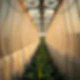 Comprehensive Overview of Portable Squeeze Chutes in Agriculture Introduction