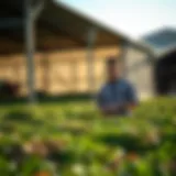 Comprehensive Overview of SBA Farm Loans Introduction