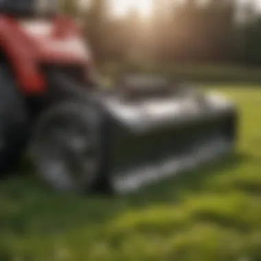 Close-up of Del Morino mower blades showcasing cutting technology