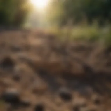 Ecological Impact of Rock and Root Rake in Agriculture Ecological benefits of using rock and root rake
