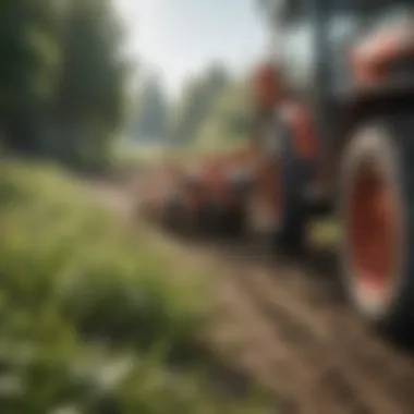 Organic Methods for Weed Control Organic weed control techniques in practice