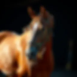 Efficacy and Application of Creatine in Equine Nutrition Introduction