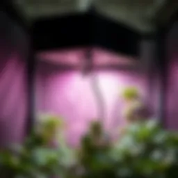 Air purifier enhancing grow tent environment