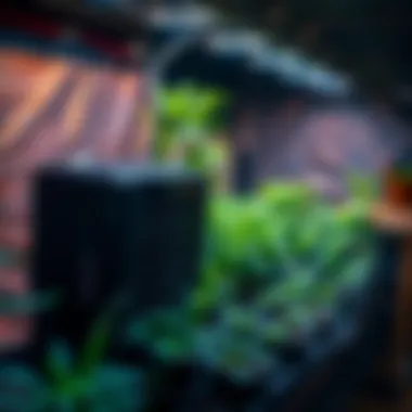 Types of Air Purifiers Different types of air purifiers for indoor gardening