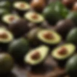 An assortment of avocados showcasing healthy plant-based fats