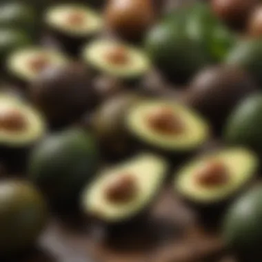 Exploring the Richness of Avocados An assortment of avocados showcasing healthy plant-based fats