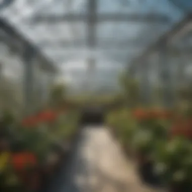 Thriving Plants in an Aluminum Glass Greenhouse Interior view of a greenhouse with flourishing plants