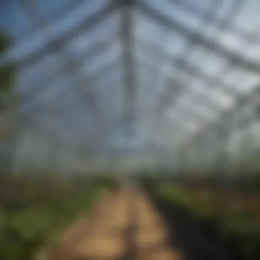 Structural Features of Aluminum Glass Greenhouses Diagram illustrating the structural features of an aluminum glass greenhouse