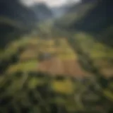 Aerial view of the lush landscapes of Arnold's Glencoe showcasing diverse agricultural fields