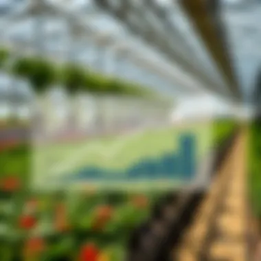 Financial Considerations for Greenhouse Investment Financial graph depicting investment returns related to greenhouse purchase