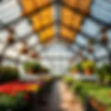 Spacious interior of a large greenhouse showcasing diverse plant life