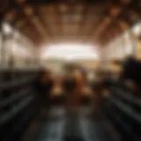 Robust cattle trailer showcasing durable construction