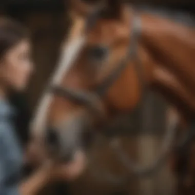 An equestrian selecting the perfect halter from an array of choices.