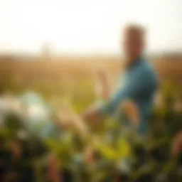 Exploring Dithiopyr: An Effective Herbicide for Modern Agriculture Introduction