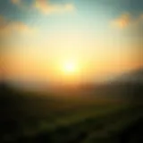 A serene landscape of farmland representing sustainable land use