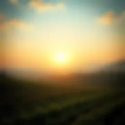 A serene landscape of farmland representing sustainable land use