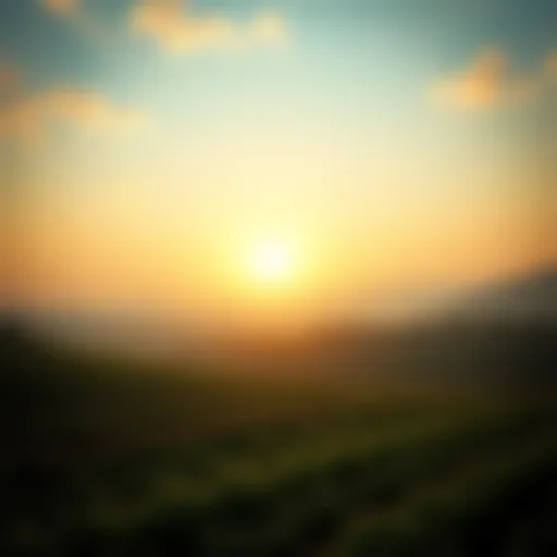 A serene landscape of farmland representing sustainable land use