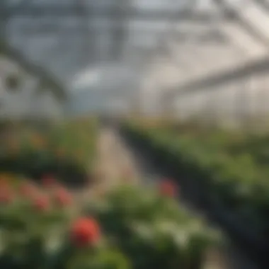 A close-up of various greenhouse materials, highlighting their suitability for Alaskan climates.