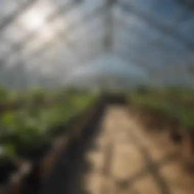 Efficient Greenhouse Installation Techniques An illustrated guide showing efficient installation methods for greenhouse kits in challenging environments.