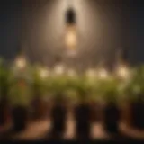 Different types of growth light bulbs for horticulture