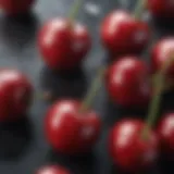 Close-up of fresh cherries with water droplets