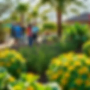 Sustainable Gardening in Florida Healthy, thriving garden showcasing sustainable practices