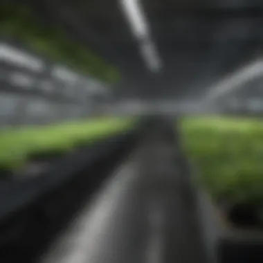 Automated Environmental Control in Hydroponics An automated environmental control system for hydroponics.