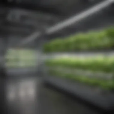 Modern Hydroponic Grow Room Setup A modern hydroponic grow room with various plant setups.