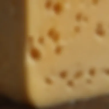 Close-up of hard cheese showcasing its texture and color