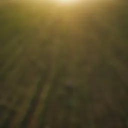 Aerial view of diverse agricultural fields