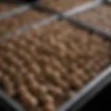 Detailed view of various mushroom growing trays