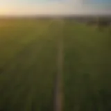 Vast farmland landscape in Northern Illinois showcasing crops and open fields