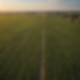 Vast farmland landscape in Northern Illinois showcasing crops and open fields