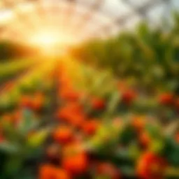 Vibrant organic crops thriving in a sustainable farm