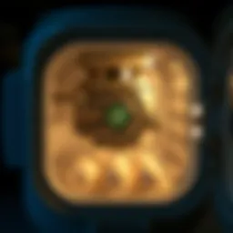 Small egg incubator showcasing internal mechanisms