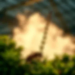 Exploring the Role of Pesticides in Organic Agriculture Introduction