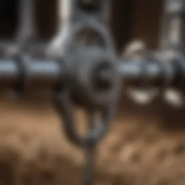 Mechanisms of Short Shank Chain Bit Close-up of the mechanisms of the short shank chain bit