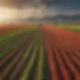 A scenic view of a vast agricultural landscape with vibrant crops.