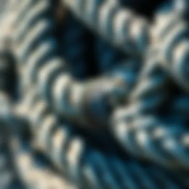 Material Characteristics of Zareba Poly Rope Close-up of Zareba poly rope showing its unique material properties