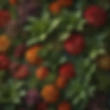 Close-up of various plants thriving in a fabric plant wall, highlighting diverse textures and colors.