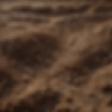 A close-up of soil with seeds showcasing the foundation of farming.